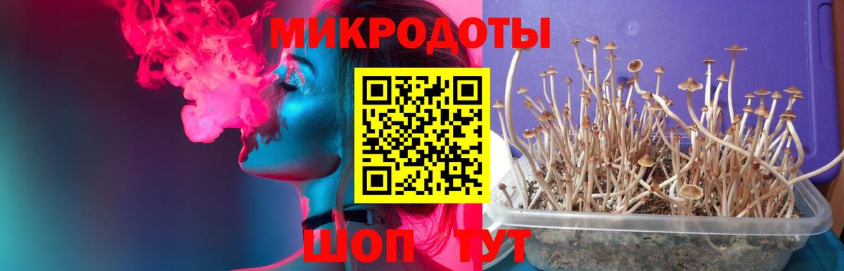 Псилоцибиновые грибы ЛСД Амурск